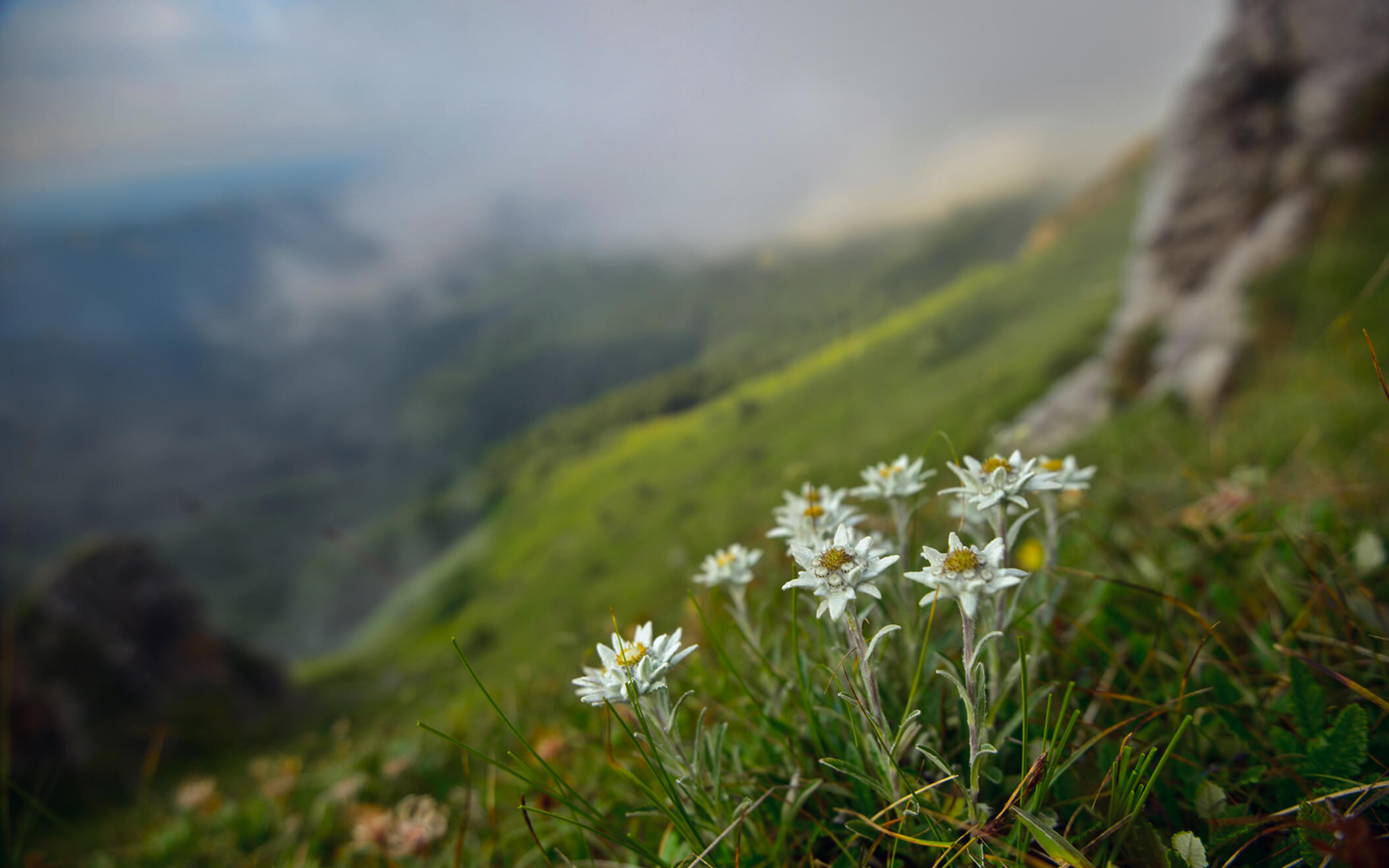 ウサイエン製薬のイメージ写真03