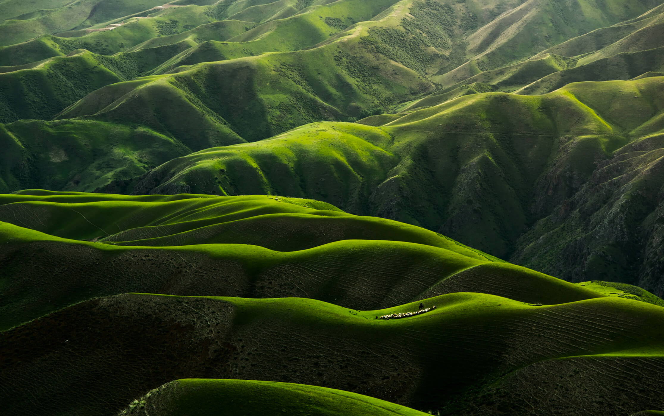 ウサイエン製薬のイメージ写真02