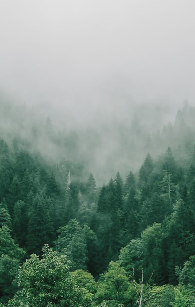 取り扱い原料イメージ写真01